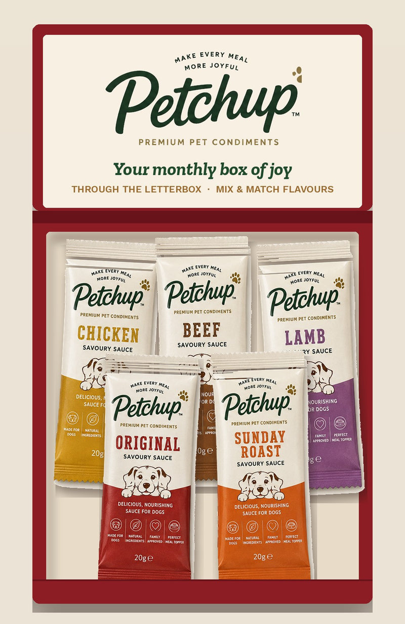 An open Petchup letterbox subscription box filled with Original, Chicken, Beef, Lamb and Sunday Roast sachets